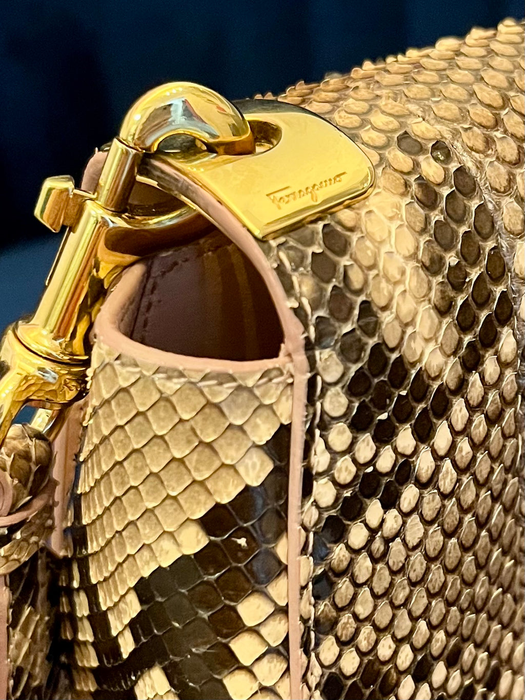 Salvatore Ferragamo “Anna” Genuine Python Saddle Bag | Special Edition - Blush