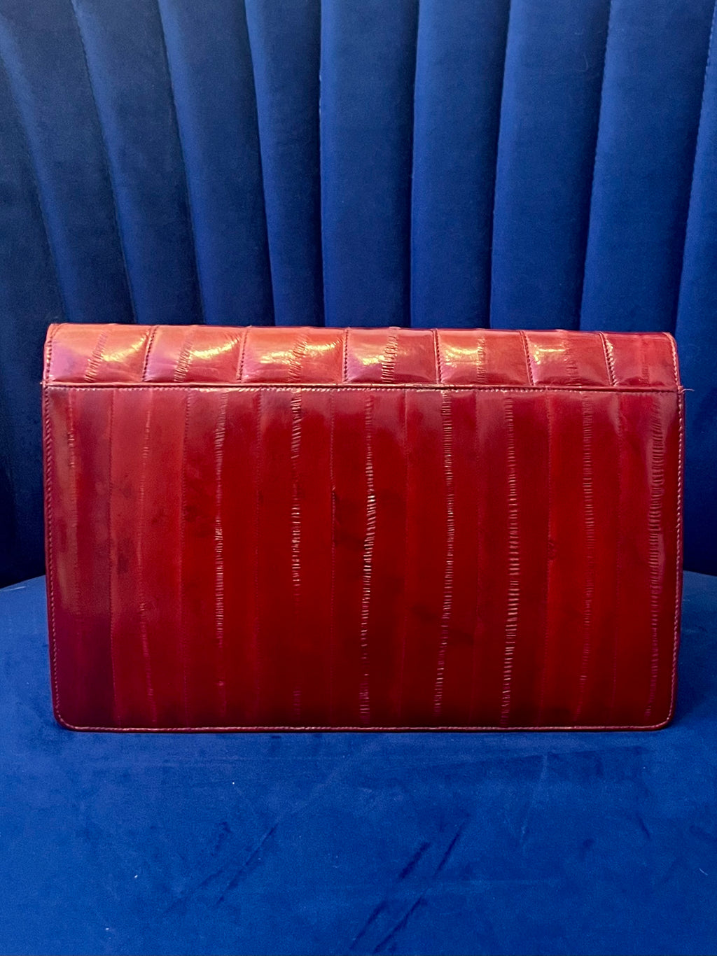 Vintage Red Eel Skin Clutch | Textured Exotic Leather | Structured Crossbody