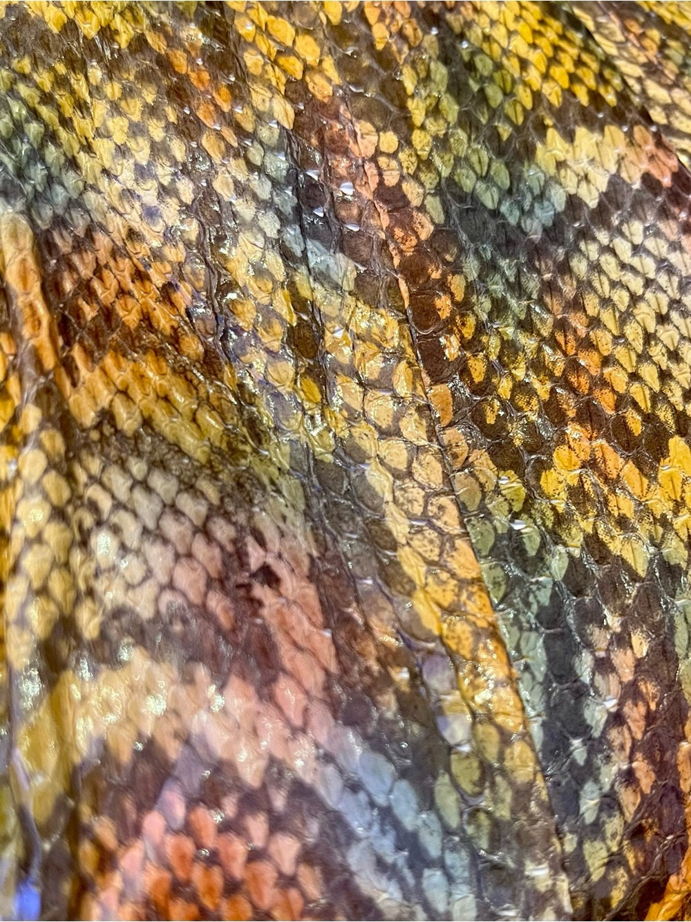 Kotur Genuine Python Clutch – Multicolor Exotic Leather Tortoise Lucite Frame — bag closure fastening and edge finish