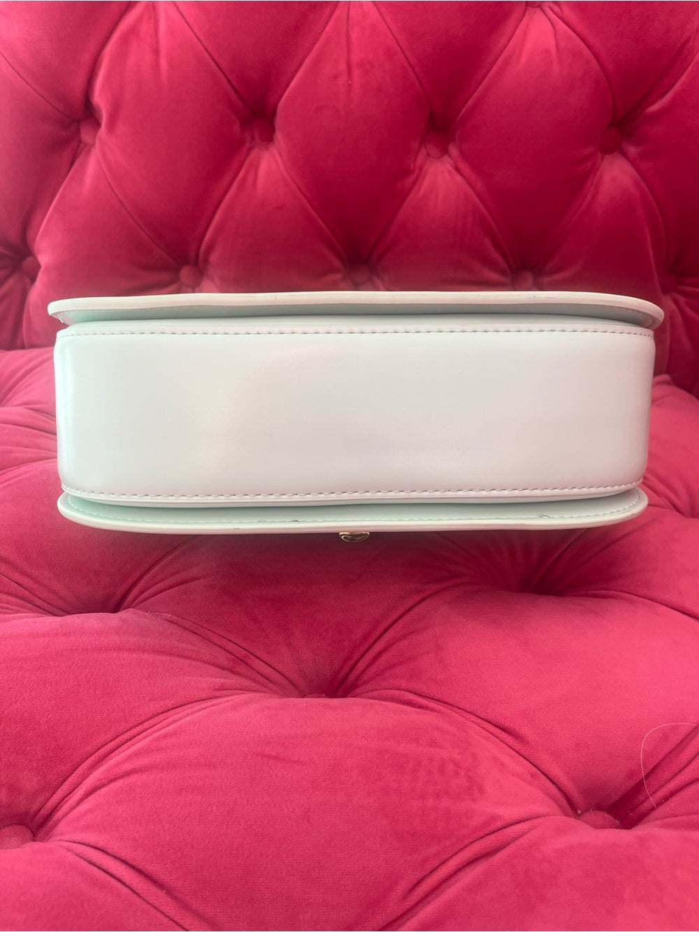 Mint Green Bag with Clear Acrylic Bamboo & Gold Trim Handle + Crossbody Strap — removable strap and gold tone hardware